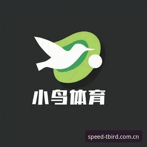 小鸟体育App下载 vs 网页版：哪个更适合极速竞技玩家？A7K9版本全面对比分析