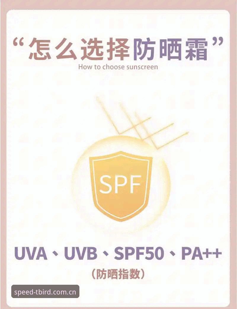 小鸟体育登录入口对比 小鸟体育官网登录入口对比最新动态:用户实测揭秘不同入口的差异